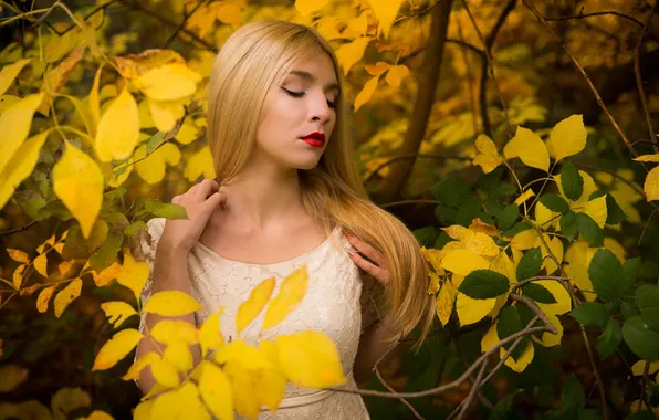 Картинка Girl, Beautiful, Model, Autumn, View, Dress, Leaves, Attractive