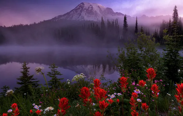 Картинка деревья, пейзаж, цветы, природа, туман, озеро, растительность, гора