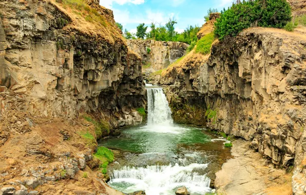 Картинка деревья, ручей, камни, скалы, водопад, США, White River Falls State Park