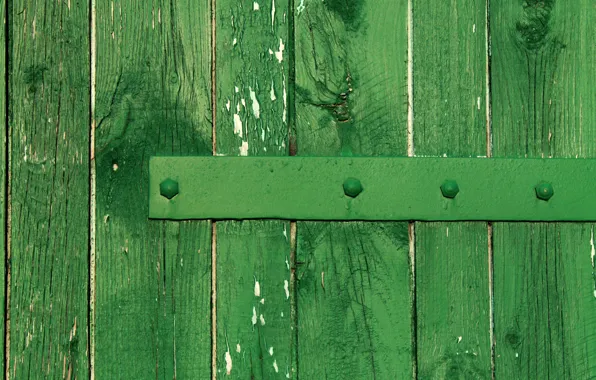 Металл, дерево, доски, забор, зеленый забор, зеленые доски