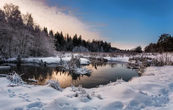 Картинка зима, лес, снег, деревья, пейзаж, закат, следы, природа