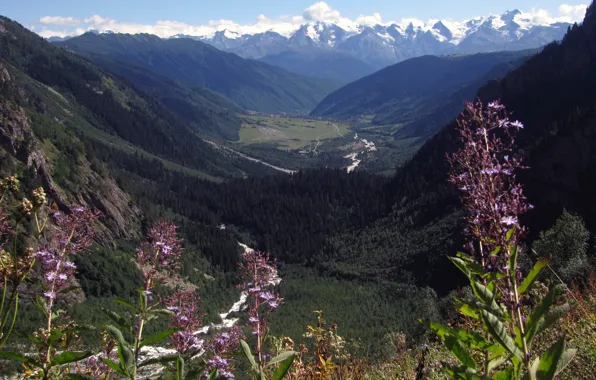 Georgia, caucasus, svaneti