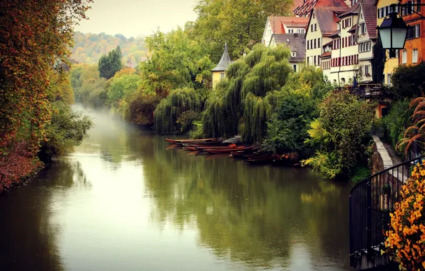 Картинка осень, деревья, город, туман, река, здания, дома, Германия