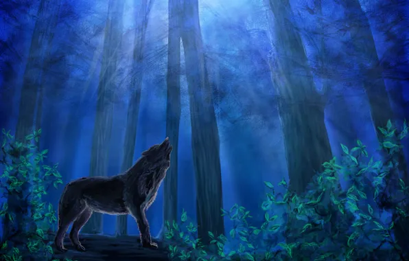 Картинка лес, небо, листья, деревья, ночь, животное, волк, хищник