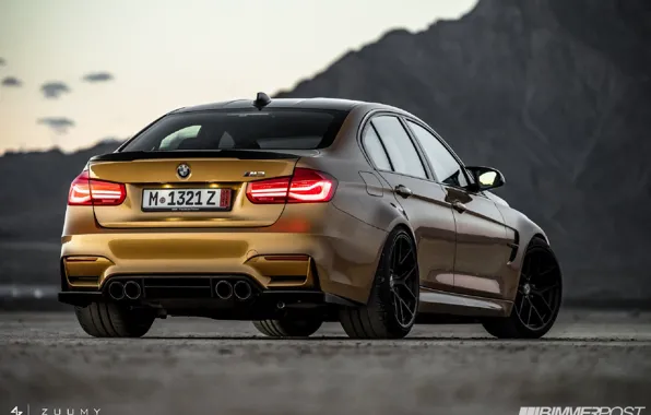 BMW, БМВ, седан, Individual, M3, Sunburst Gold Metallic