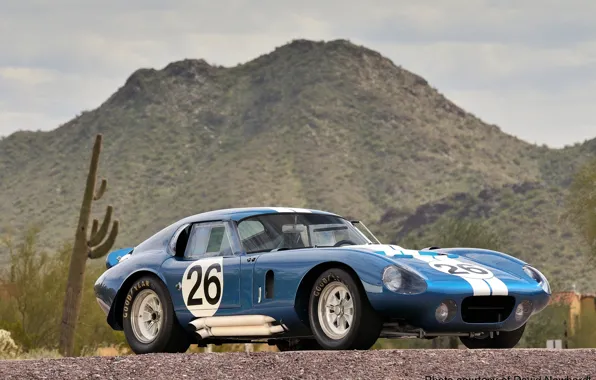 Shelby, Coupe, Cobra, Daytona, Shelby Cobra Daytona Coupe, 1964-1965, Good Year, Mountaine