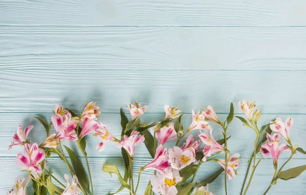 Цветы, colorful, wood, pink, flowers, beautiful, spring, lily