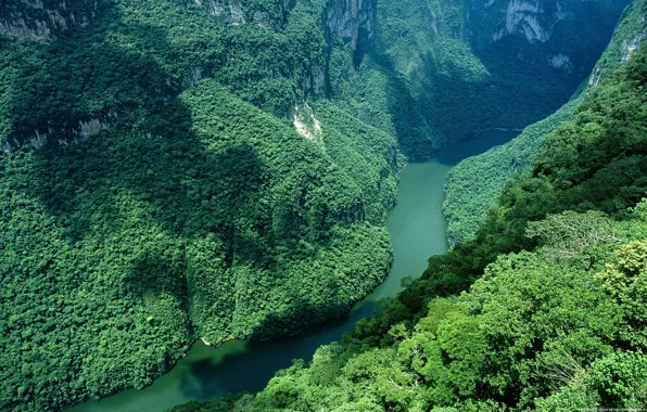Картинка деревья, горы, река, Мексика, красиво