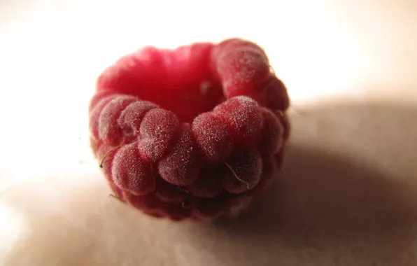 Малина, close-up, berries, raspberries