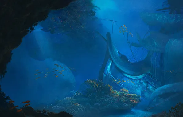 Вода, Океан, Море, Крушение, Корабль, Рыба, Дно, Fish