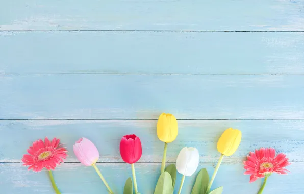 Цветы, весна, colorful, тюльпаны, герберы, wood, flowers, tulips