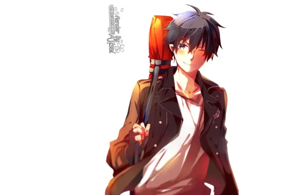 Аниме, арт, парень, Ao no Exorcist, Рин