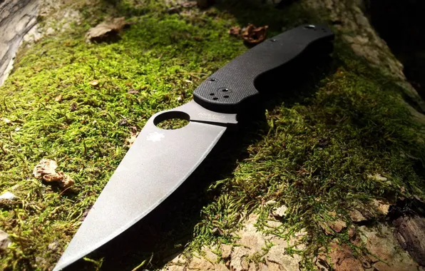 Лес, дерево, мох, Нож, Spyderco. Paramilitary 2
