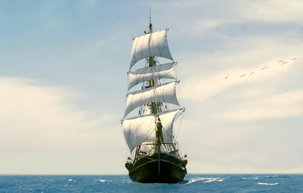 Картинка небо, океан, птица, парусник