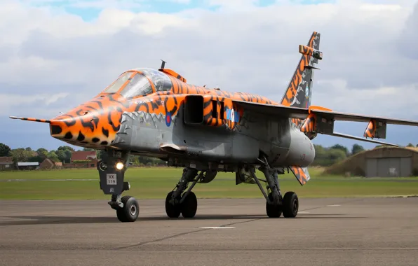 Jaguar, Истребитель-бомбардировщик, RAF, Sepecat Jaguar, Sepecat Jaguar GR3A