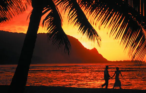 Закат, пальмы, океан, романтика, вечер, двое