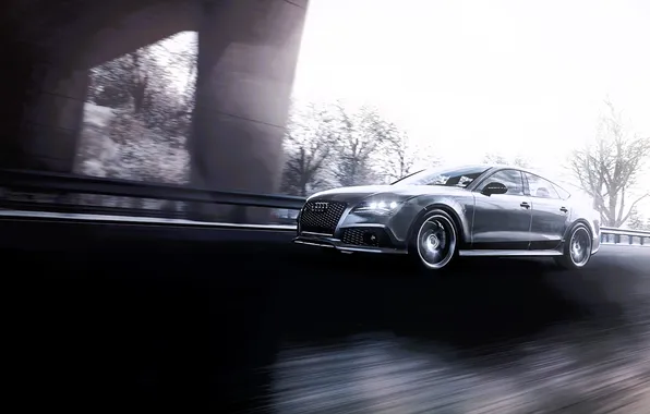 Дорога, деревья, мост, Audi, скорость, трасса, серебристый, Audi RS7