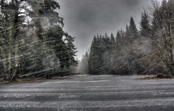 Картинка дорога, снег, метель