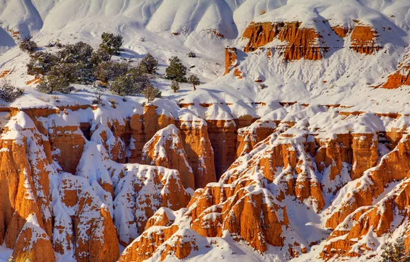 Картинка зима, снег, деревья, скалы, каньон