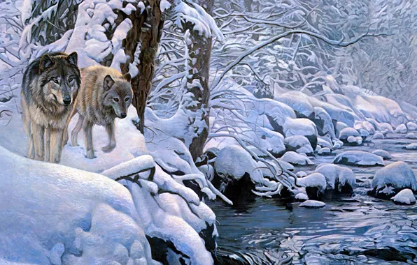 Зима, иней, лес, снег, деревья, ветки, природа, река