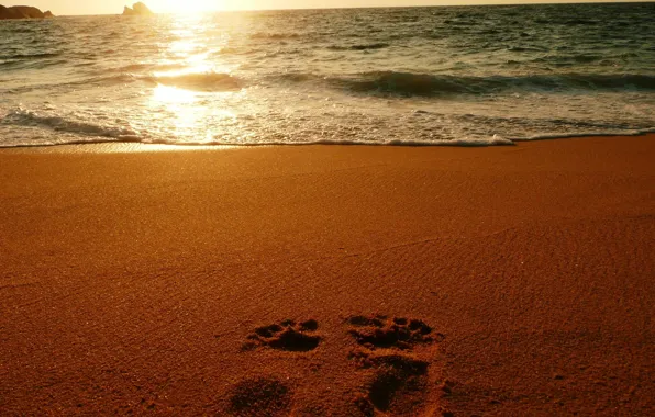 Картинка песок, море, следы, океан