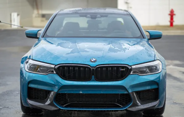 BMW, Blue, Front, Face, F90
