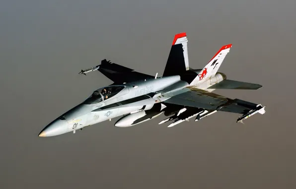 Картинка летит, hornet, F-18