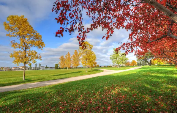Картинка осень, небо, трава, деревья, парк, дома, дорожка