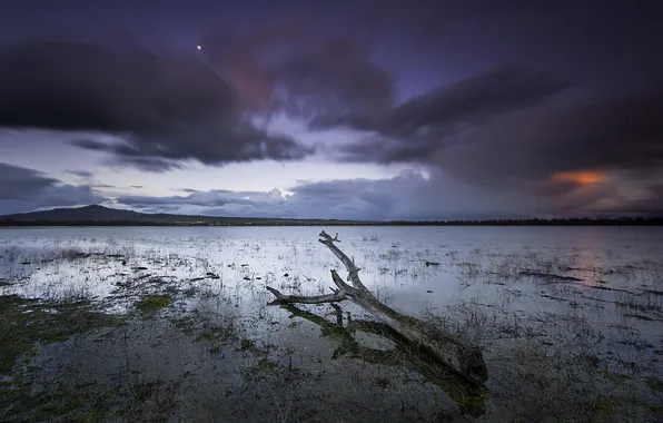 Небо, деревья, пейзаж, озеро