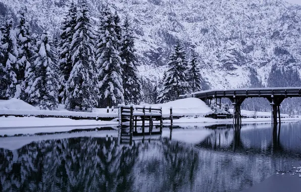 Картинка зима, деревья, мост, река, ели