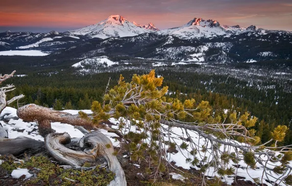 Вода, пейзаж, природа