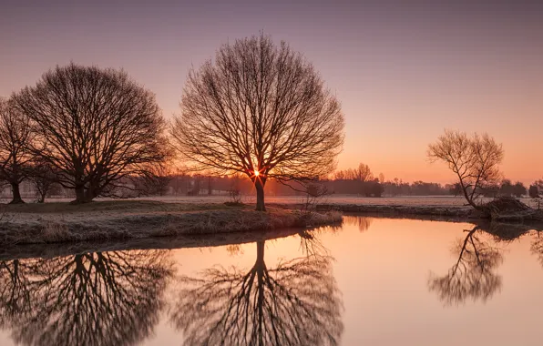 Иней, деревья, природа, озеро, утро, Suffolk, River Stour
