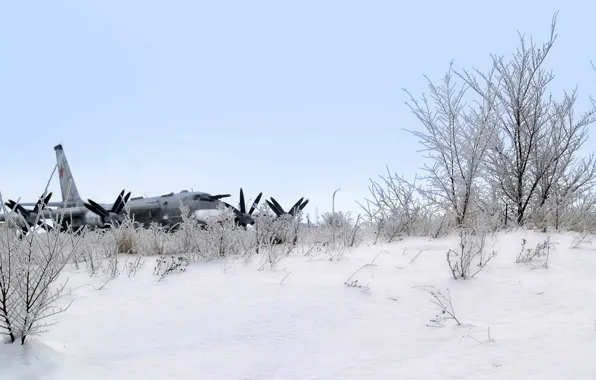 Картинка зима, снег, самолет, ракетоносец, стратегический бомбардировщик, ту-95мс