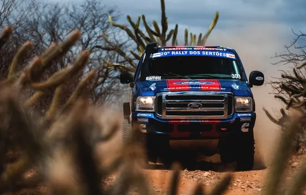 Ford, Спорт, Машина, Капот, Фары, Rally, Dakar, Дакар