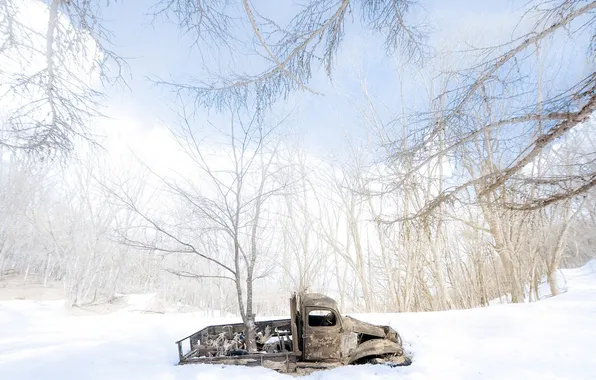Картинка машина, снег, дерево