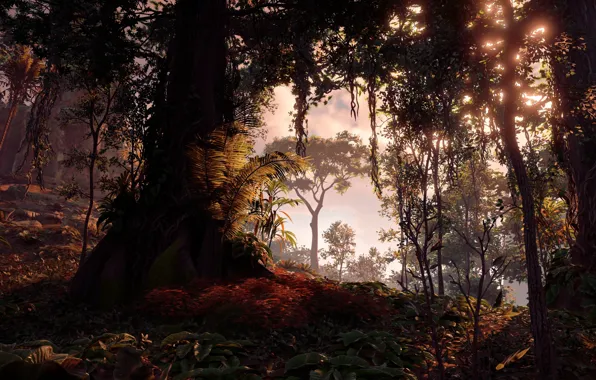 Деревья, Sony Interactive Entertainment, Horizon Zero Dawn, Action/RPG