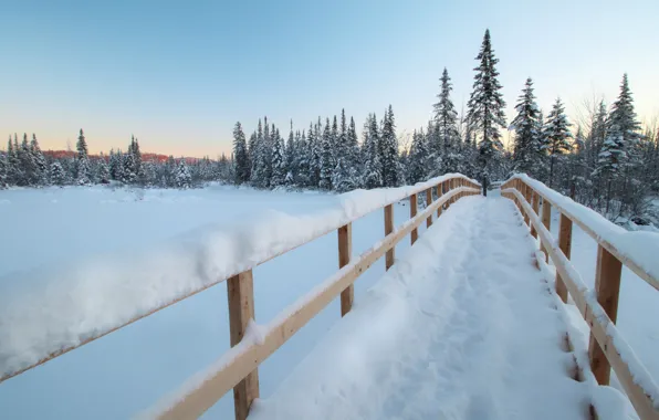 Картинка зима, лес, снег, мост, ели, Канада, Canada, Quebec