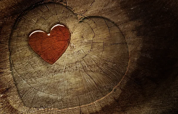 Картинка трещины, дерево, текстура, сердца, сердечки, бревно, срез