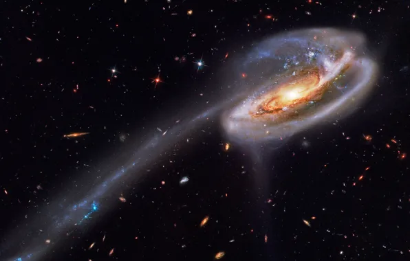 Картинка Галактика, Дракон, созвездие, Galaxy, Tadpole, UGC 10214, Головастик