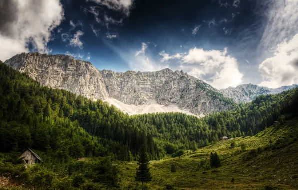 Лес, небо, облака, деревья, горы, Австрия, деревянный, домик