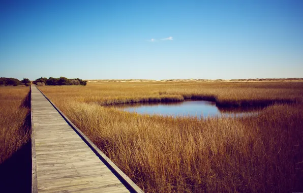 Дорога, поле, небо