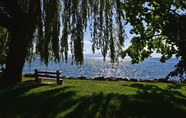 Озеро, дерево, Швейцария, скамейки, Switzerland, Canton of Vaud, Vaud