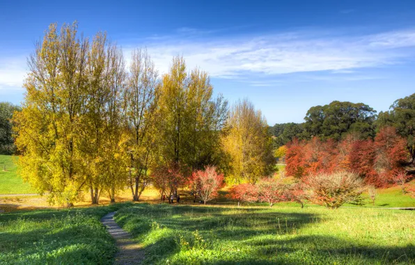 Картинка осень, небо, трава, солнце, облака, деревья, парк, Австралия