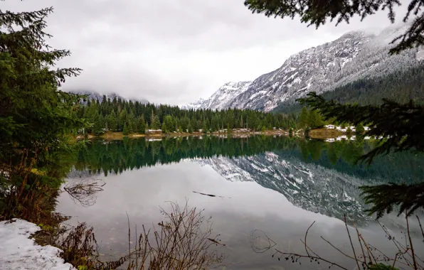 Картинка Зима, Орегон, USA, США, Winter, Oregon, Calm Lake, Девственный лес