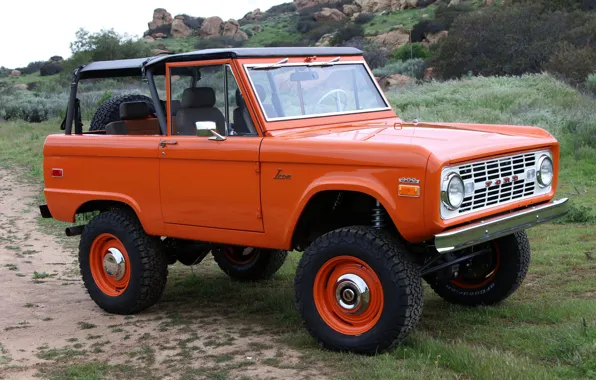 Оранжевый, Ford, 1966, Bronco, 2019, ICON Old School BR