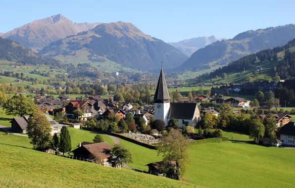 Трава, пейзаж, горы, город, фото, дома, Швейцария, Fribourg