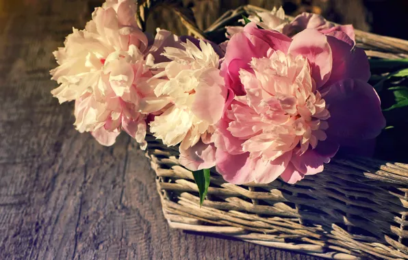Корзина, розовые, wood, pink, flowers, beautiful, пионы, peony