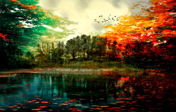 Картинка осень, краски, обработка, Colors of autumn