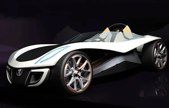 Concept, Peugeot, родстер, flux