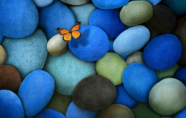 Картинка камни, бабочка, голубые, коричневые